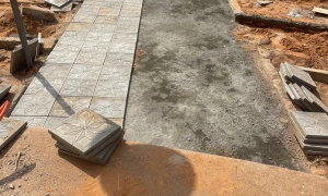 La place de l'AES en pleine transformation